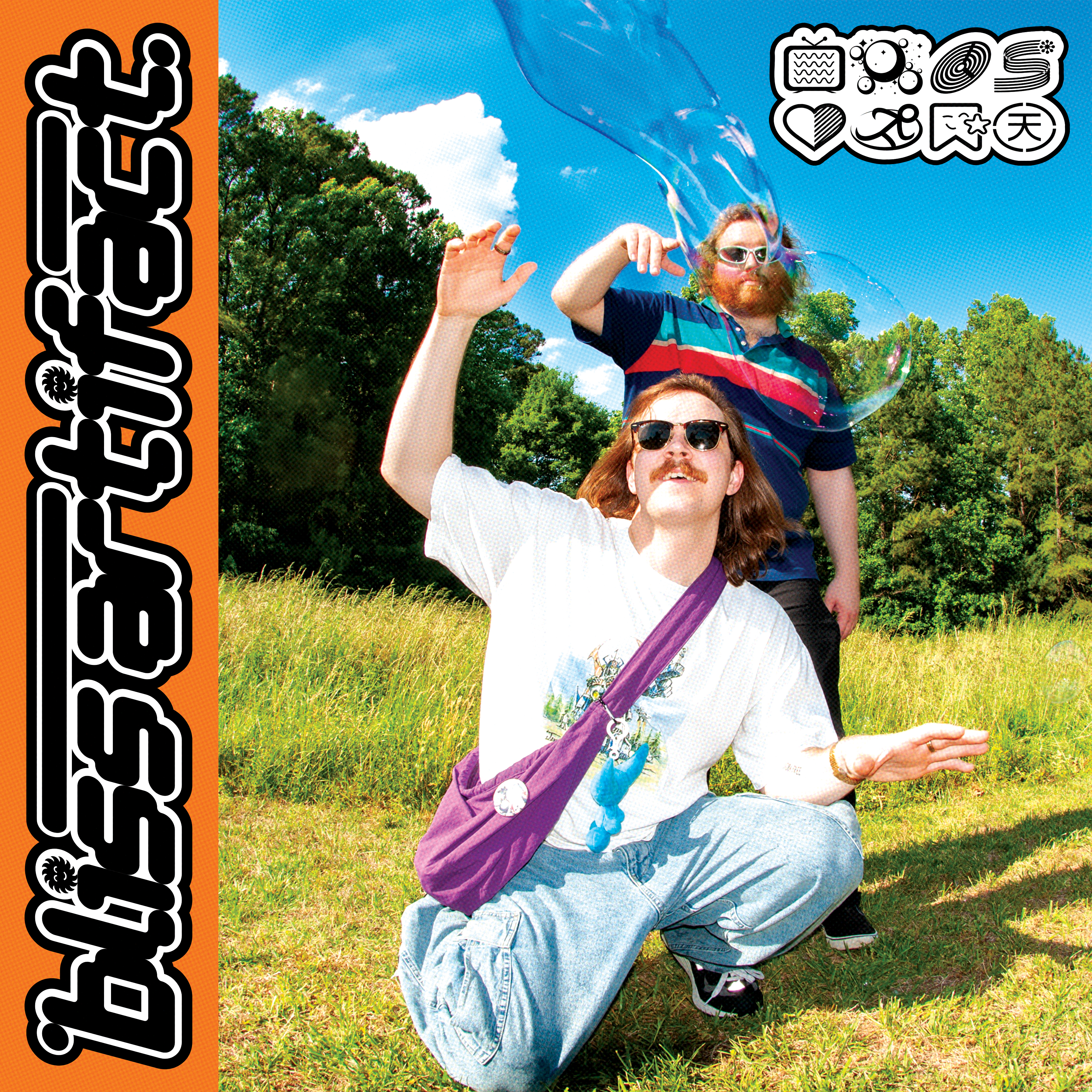 bliss artifact album cover